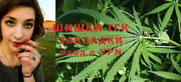 индика Алексеевка