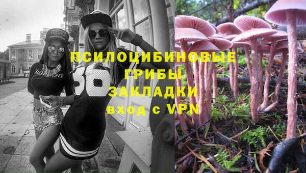 a pvp Абдулино