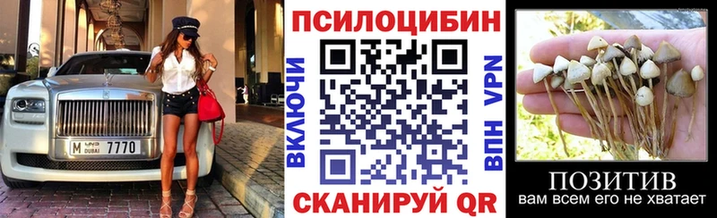 магазин продажи наркотиков  Магнитогорск  Псилоцибиновые грибы ЛСД 